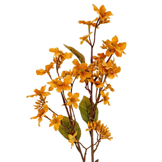 Yellow Vernicia Fordii Spray
