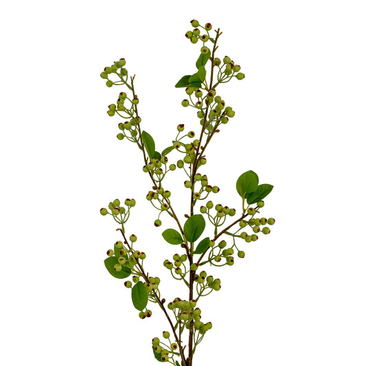 Green Mossberry Large Branch