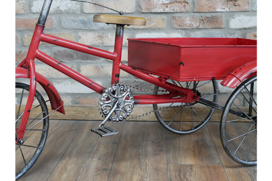 Tricycle-garden-ornament-planter-pedal