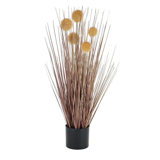 Coffee-pompom-small